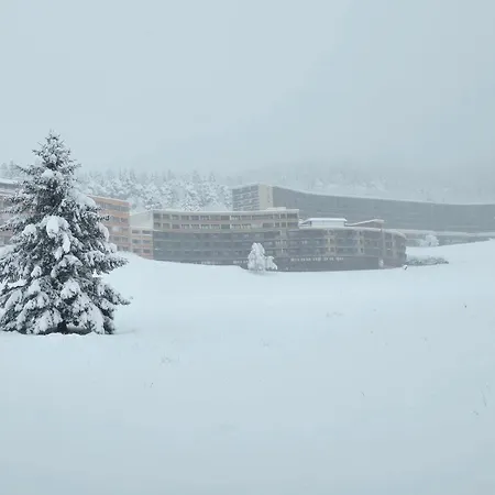 Les Glovettes Pieds Des Pistes Apartment